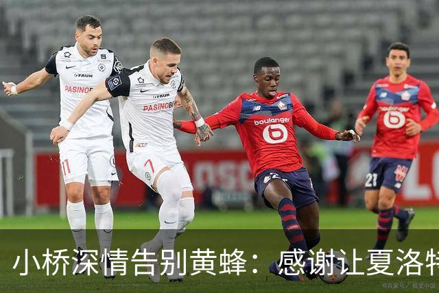 小桥深情告别黄蜂：感谢让夏洛特成为我的家 这里永远无可替代